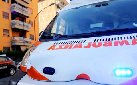 Cucciolo di delfino salvato a Terrasini dalla Guardia Costiera