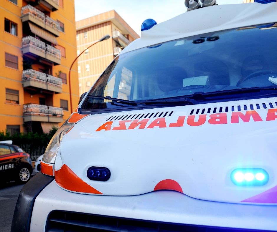 Cucciolo di delfino salvato a Terrasini dalla Guardia Costiera