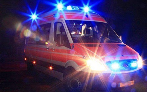 Salvato a Terrasini un cucciolo di delfino disorientato