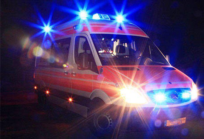 Salvato a Terrasini un cucciolo di delfino disorientato