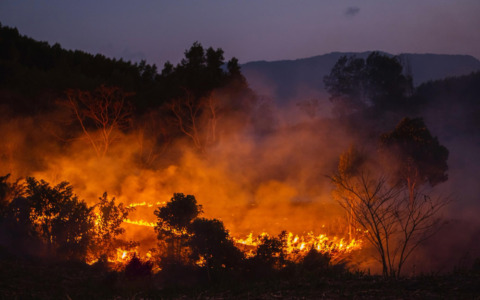 Incendio in piattaforma ecologica a Milano, nessun ferito
