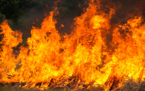 Fiamme sulla pista di Malpensa, ritardato un volo
