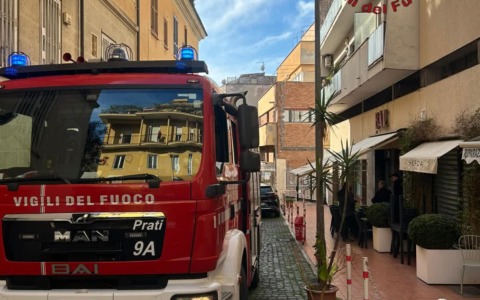 Mucca finisce nella piscina di un hotel in Val Venosta