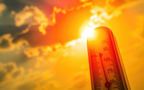 Colpo di calore: rischi per bambini, anziani e animali