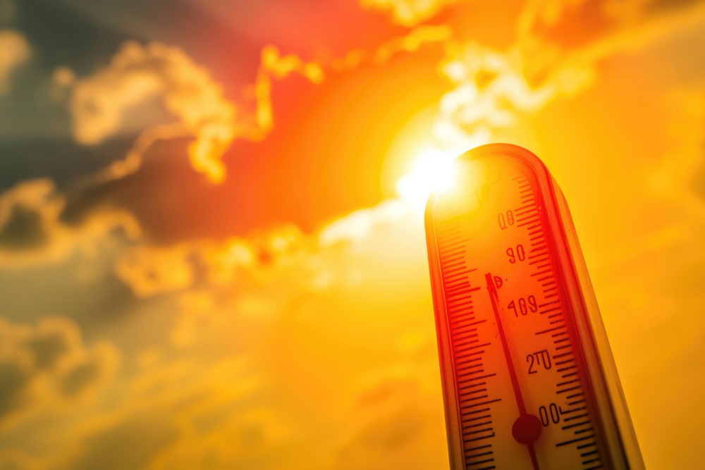 Colpo di calore: rischi per bambini, anziani e animali