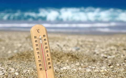 Salvini incontra i vertici di Fs: treni più puntuali nonostante il caldo