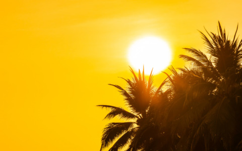 A giugno in Europa 14mila morti in più per il caldo