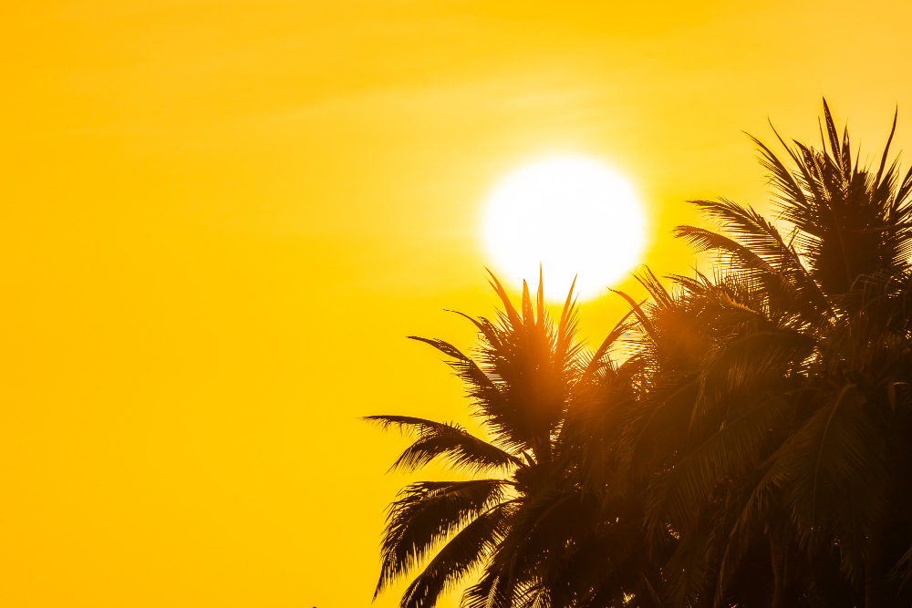 A giugno in Europa 14mila morti in più per il caldo