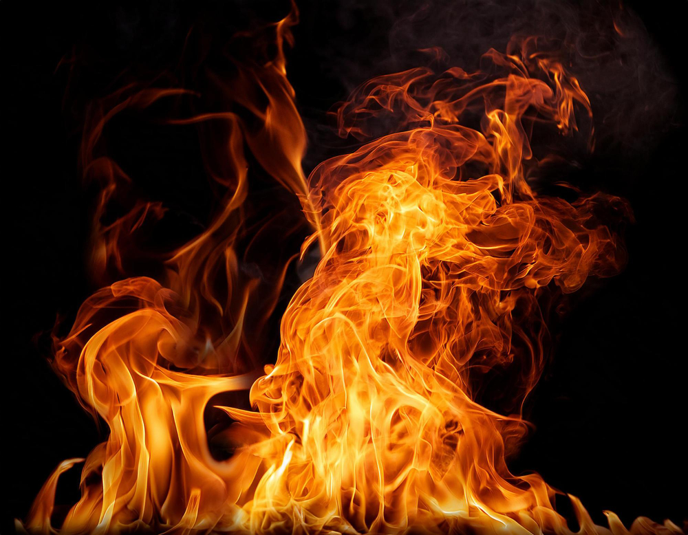 Incendi in Francia: centro ippico libera i cavalli in fuga