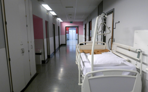 Screening testosterone per soldati Usa, Garattini critica: “Violazione libertà”