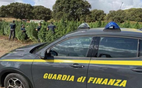 Scoperti a Imola oltre sei milioni di euro in paradisi fiscali