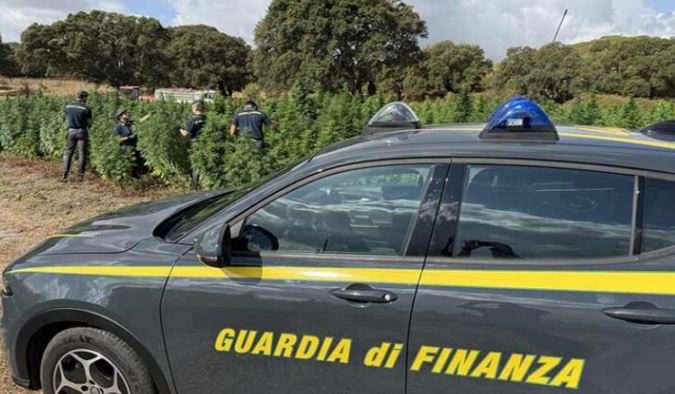 Scoperti a Imola oltre sei milioni di euro in paradisi fiscali