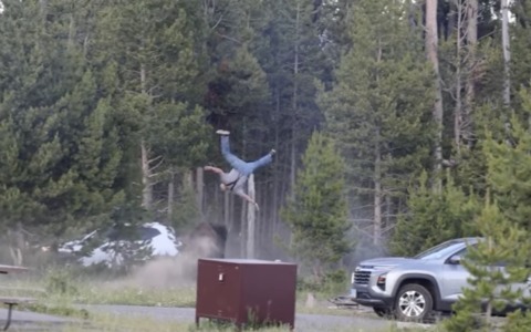 Turista gravemente ferito da un bisonte nel parco di Yellowstone