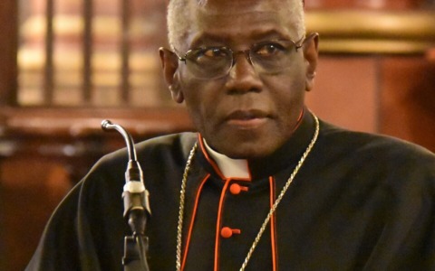 Cooperazione Ue per lo sviluppo dell’Africa, intervento del cardinale Sarah