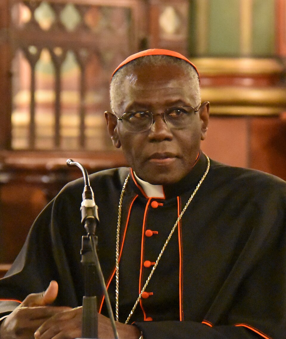 Cooperazione Ue per lo sviluppo dell’Africa, intervento del cardinale Sarah