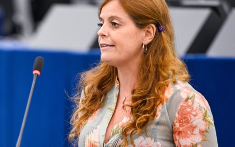 Ilaria Salis condannata per licenziamento ingiustificato di due collaboratori