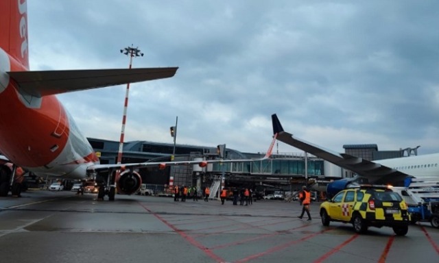 Sequestrate a Malpensa 605 carte da collezione