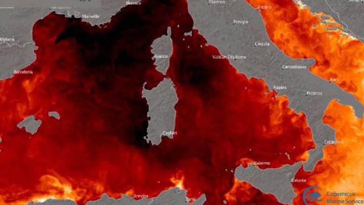 Le temperature dei mari secondo le boe di Ispra