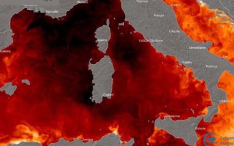 Le temperature dei mari secondo le boe di Ispra
