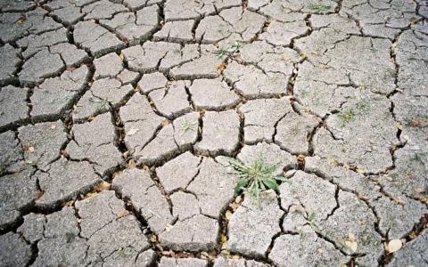 Siccità in Lombardia: agricoltori abbandonano i campi