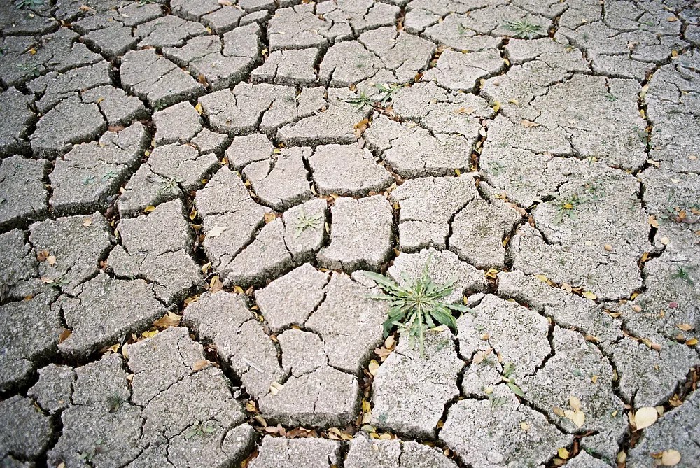 Siccità in Lombardia: agricoltori abbandonano i campi