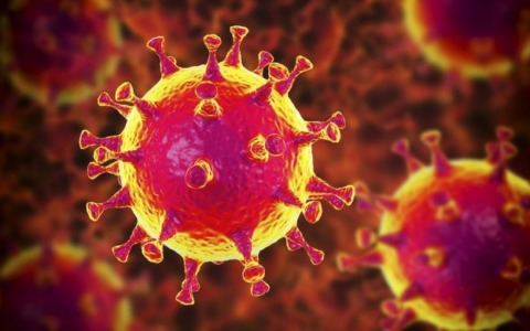 Nuova ondata Covid tra Europa e Asia mentre varianti di Omicron superano le barriere immunitarie