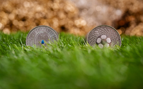 Collezione numismatica: al via la vendita della moneta da 5 euro Palla o Campo