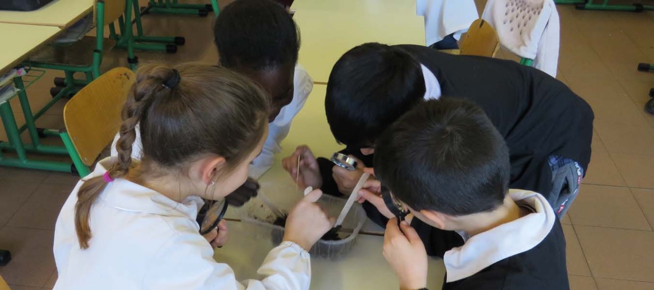 Torna la scuola del riciclo: ripartono i laboratori di Gelsia Ambiente