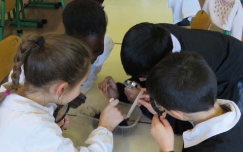 Torna la scuola del riciclo: ripartono i laboratori di Gelsia Ambiente