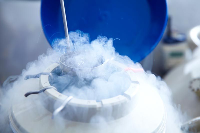Veneto, proposta per rimborsare il social freezing alle under 32