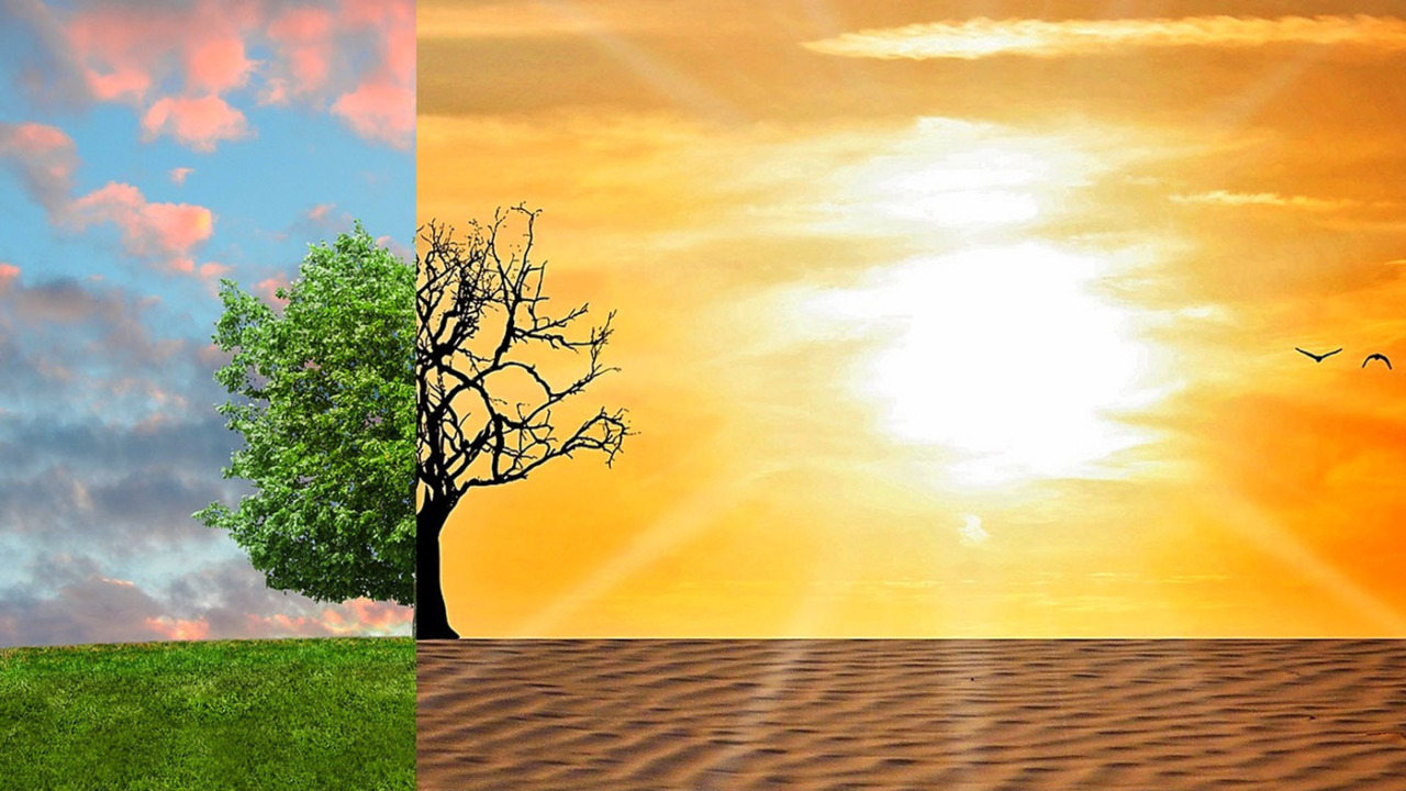 Emergenza climatica, Meritocrazia Italia sollecita il Governo a sbloccare il Piano Natura e il Piano sociale per il clima
