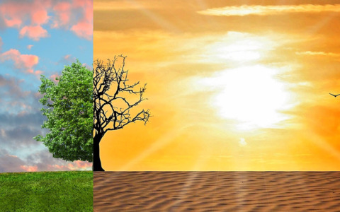 Emergenza climatica, Meritocrazia Italia sollecita il Governo a sbloccare il Piano Natura e il Piano sociale per il clima