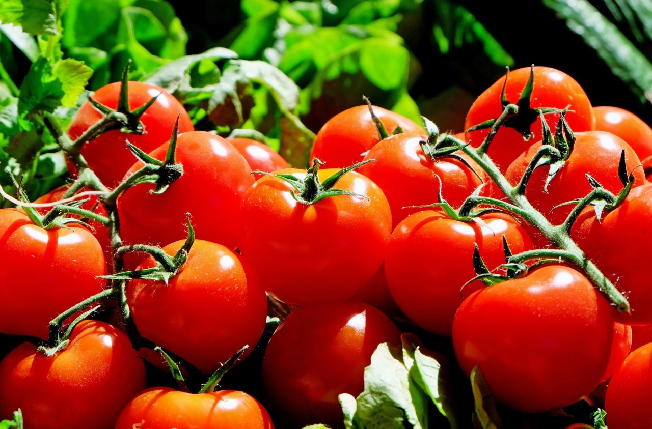 Tutelare l’oro rosso: la proposta di Meritocrazia Italia per il settore