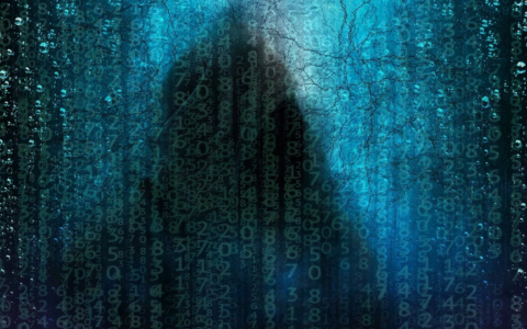 Diciassette arresti per una rete pedopornografica online