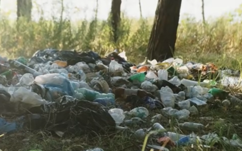 Plastica: una risorsa diventata emergenza. Come ridurre l’impatto sull’ambiente