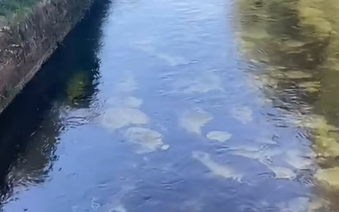 Naviglio Grande, concluse le operazioni dopo lo sversamento