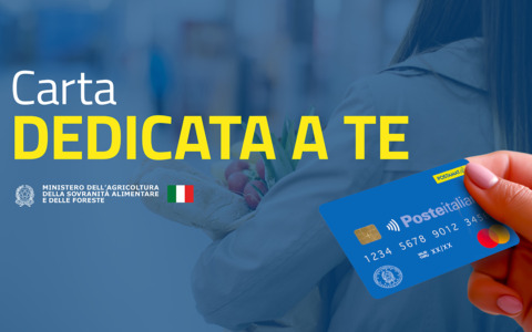 Carta Dedicata a Te: per Meritocrazia Italia serve superare la mera insufficienza di reddito
