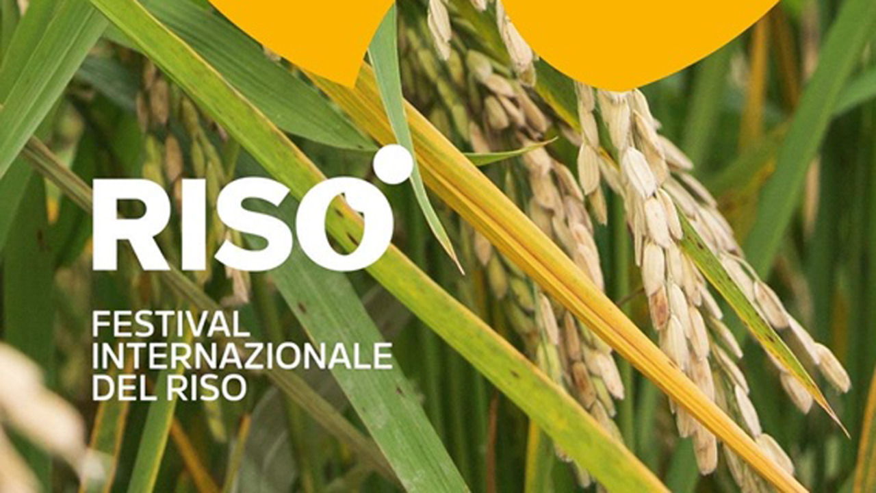 Ismea presenta a Vercelli la nuova polizza per il riso