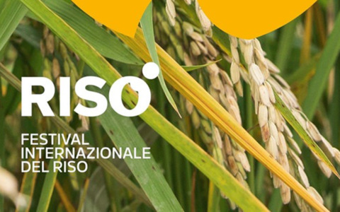 Ismea presenta a Vercelli la nuova polizza per il riso