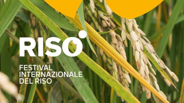 Ismea presenta a Vercelli la nuova polizza per il riso