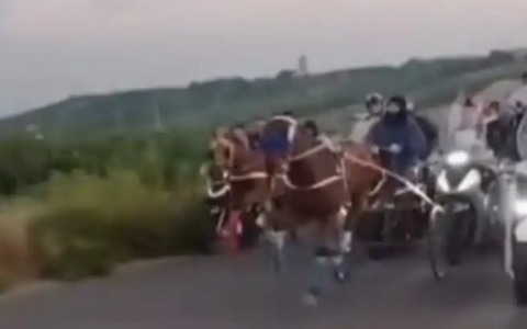 Palagonia, corsa clandestina di cavalli: segnalate pistole