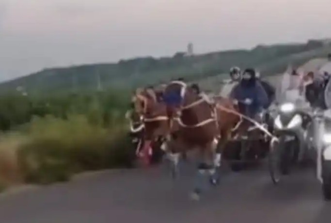 Palagonia, corsa clandestina di cavalli: segnalate pistole
