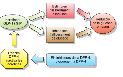 Incretine, nuovi farmaci oltre la perdita di peso