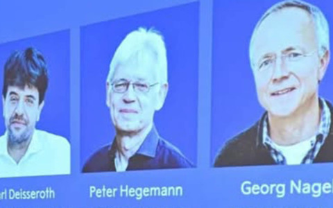 Nobel Medicina 2026, premiati tre pionieri dell’optogenetica