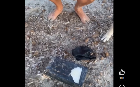 Involucro sospetto con polvere bianca trovato sulla spiaggia