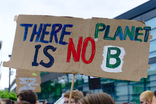 Fridays for Future, cortei in 25 città contro la crisi climatica