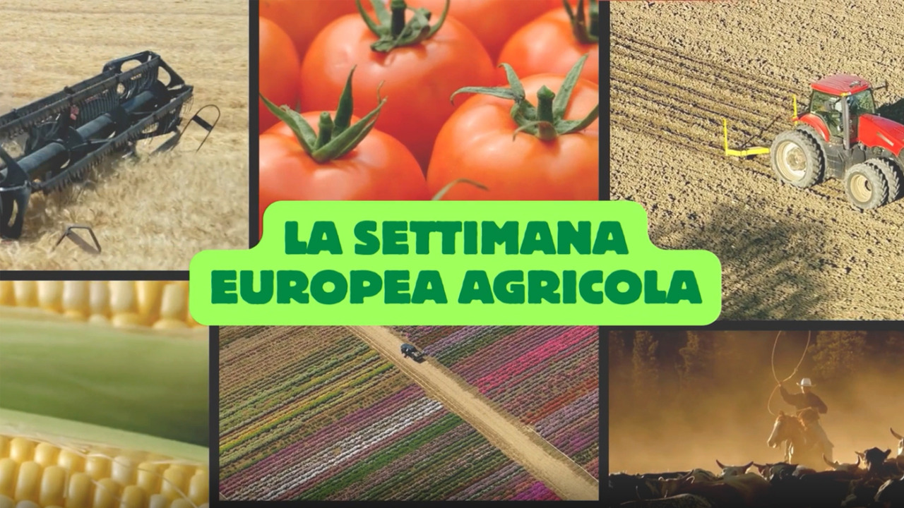 La settimana agricola europea: negoziato sui fondi PAC post 2027 e nuove tutele per il Made in Italy