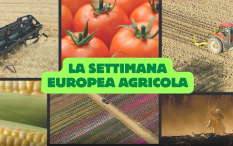 La settimana agricola europea: negoziato sui fondi PAC post 2027 e nuove tutele per il Made in Italy